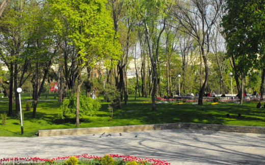466362 (a): :1920x1200